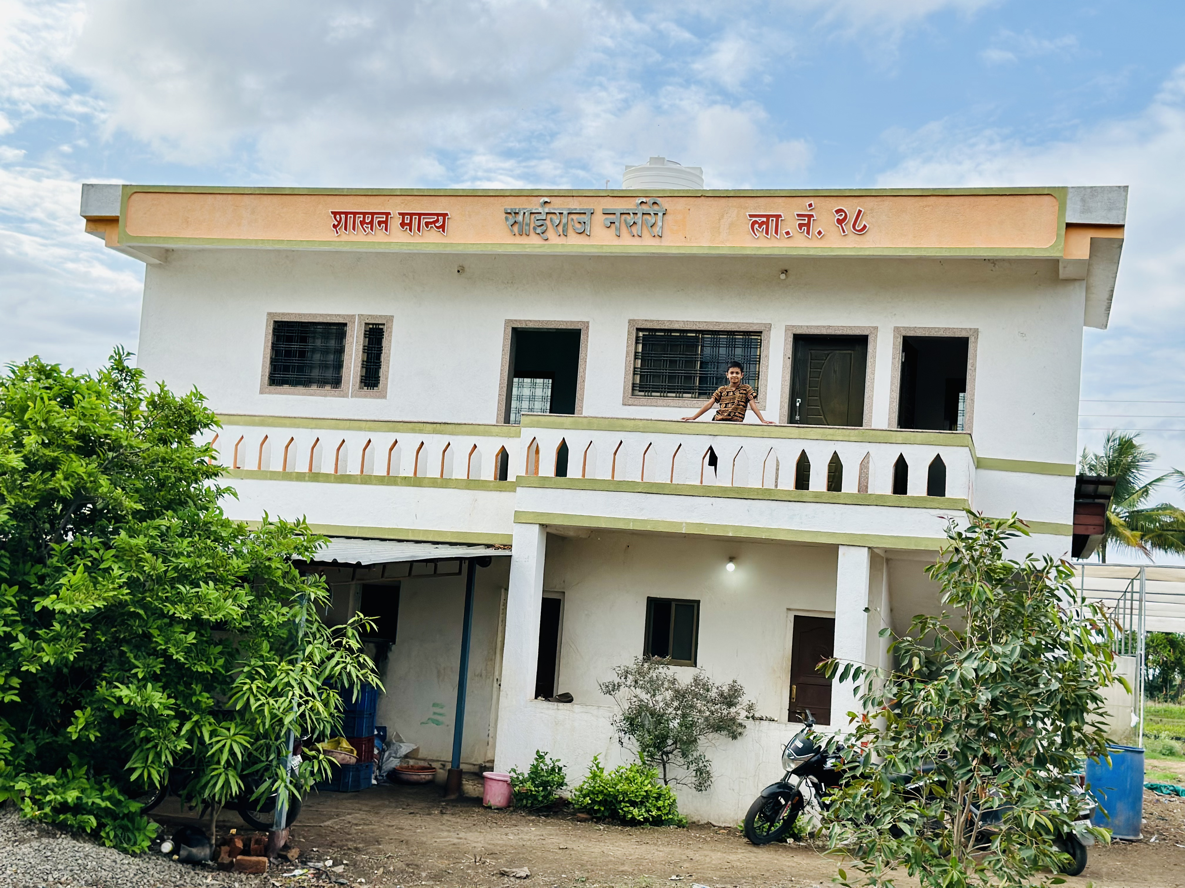 Harvesting pomegranates